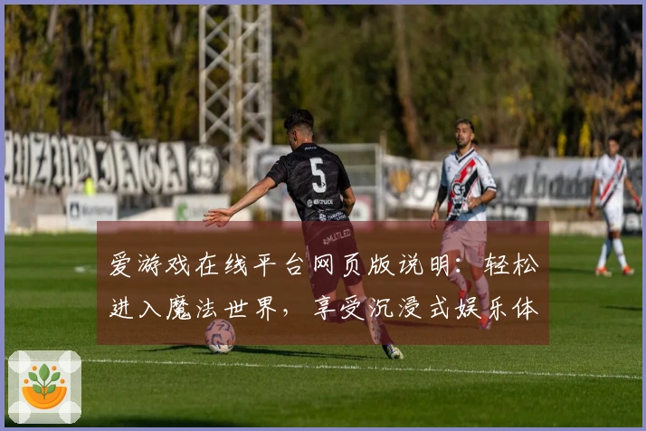 爱游戏在线平台网页版说明：轻松进入魔法世界，享受沉浸式娱乐体验